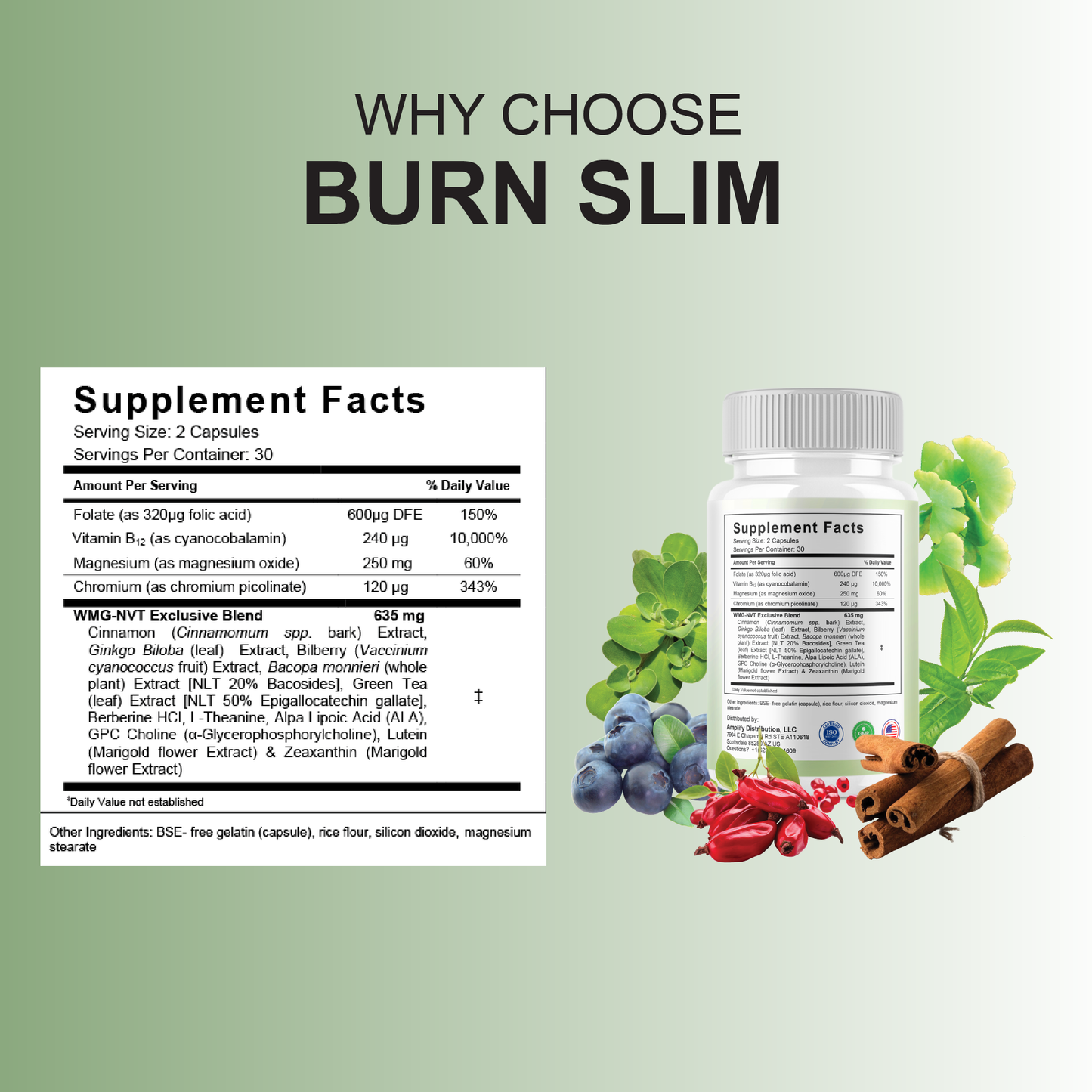 Burn Slim Pro Capsules