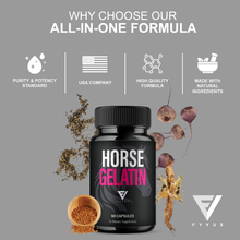 Horse Gelatin Capsules